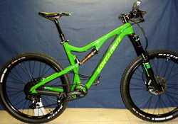 Santa Cruz Bronson