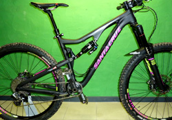 Santa Cruz Bronson